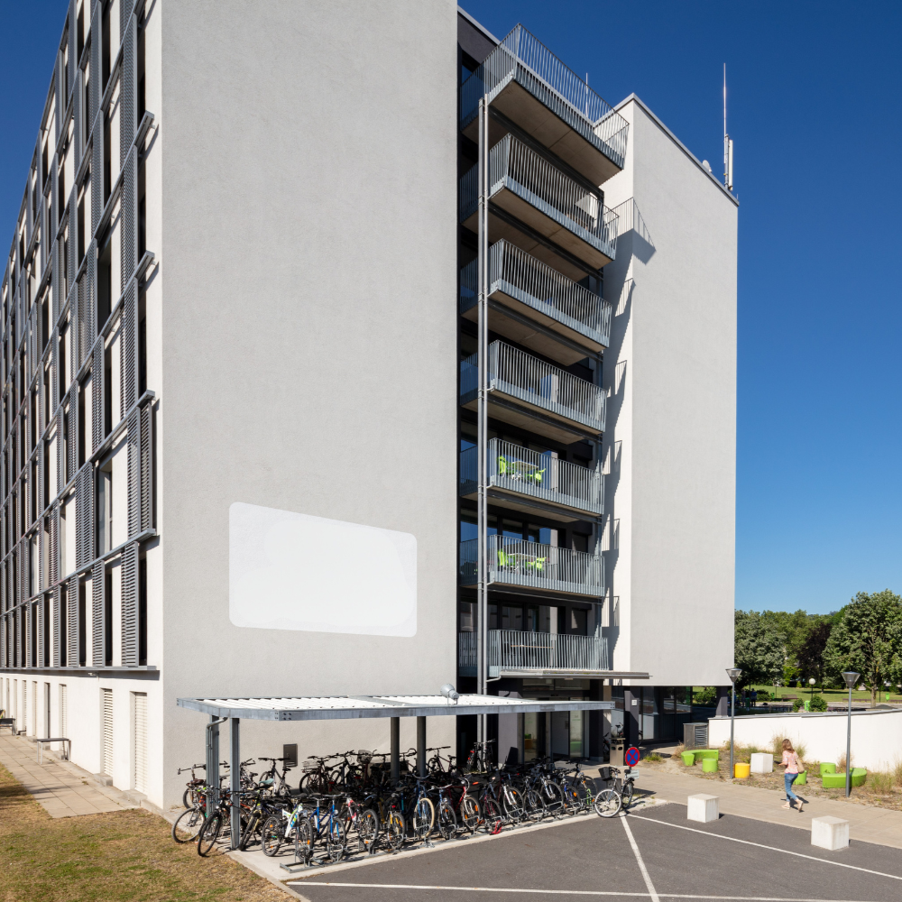 Codomo Linz